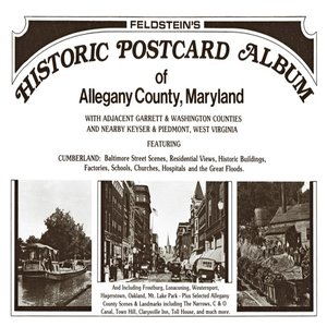 cover image of Feldstein's historic Postcard Album of Allegany County